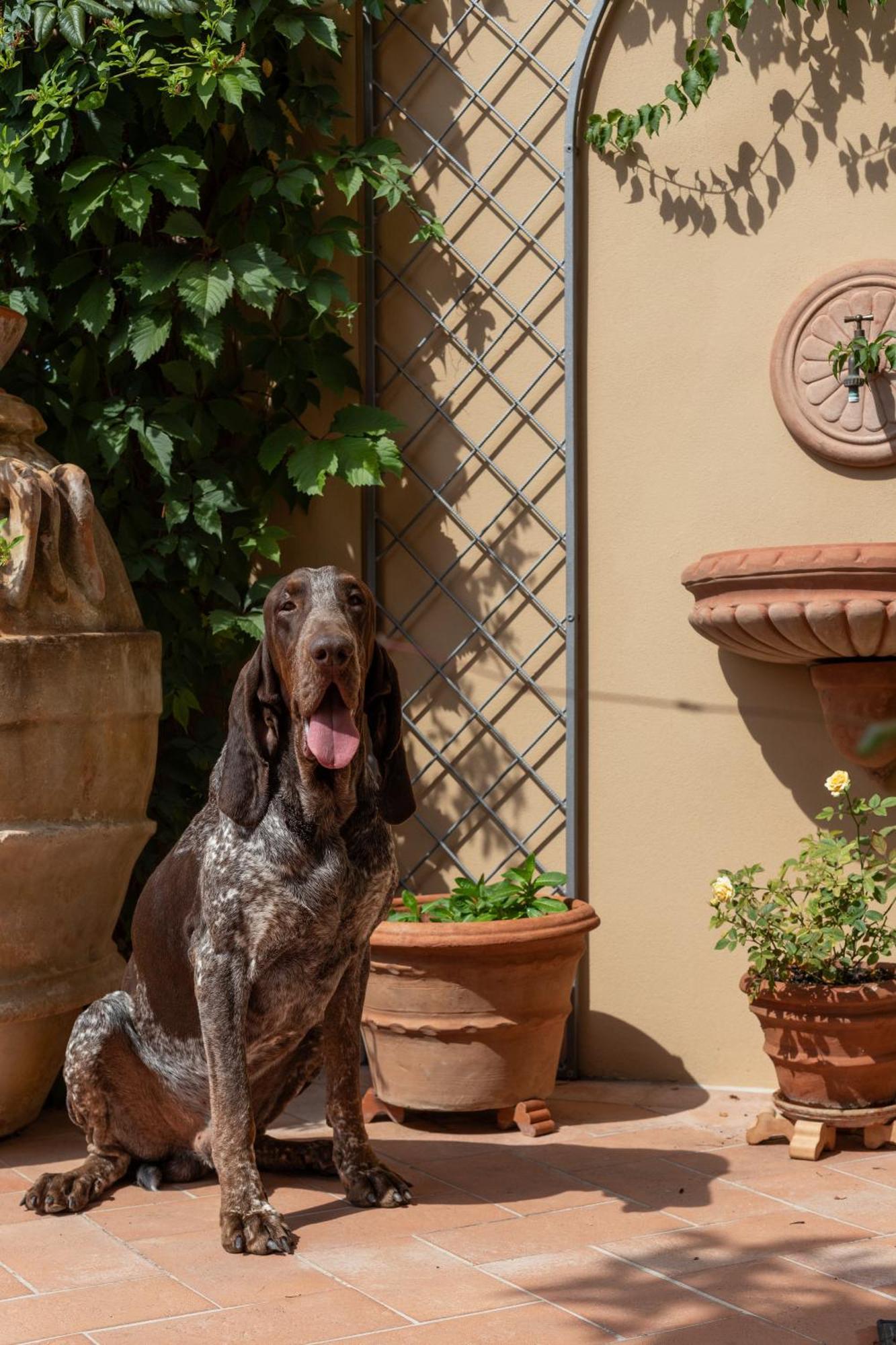 Castellinaria Bed & Breakfast Lari Exterior photo